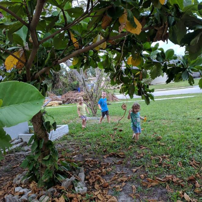 22089080_10155012237421586_1504258121852355342_n