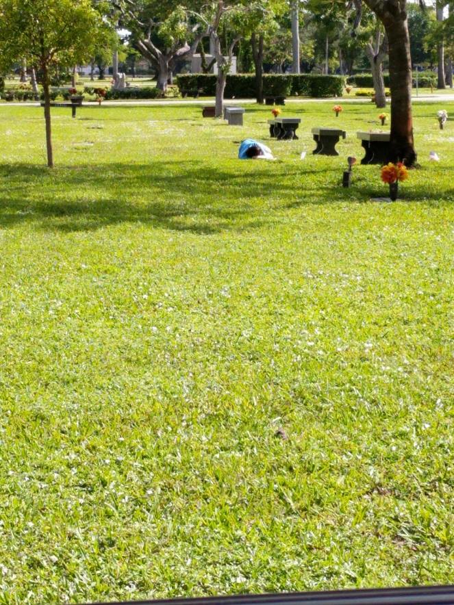 00004IMG_00004_BURST20171105104449_COVER (1)